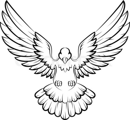 Голубь с распахнутыми крыльями