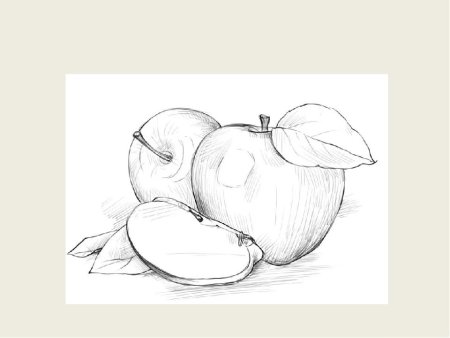 Натюрморт карандашом