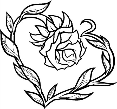 Роза для срисовки