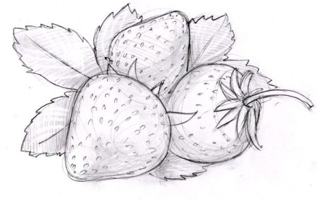 Клубника для срисовки карандашом