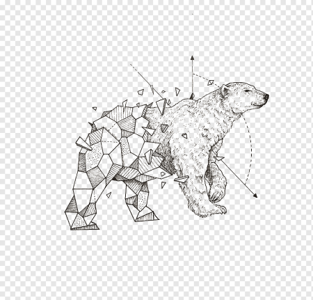 Белый медведь Графика