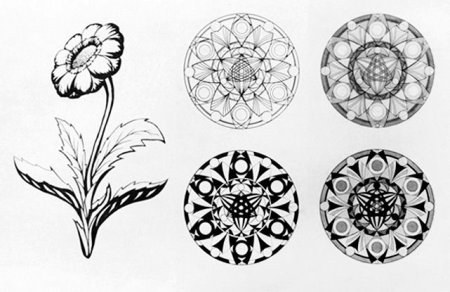 Трансформация растительных форм в орнаментальные мотивы