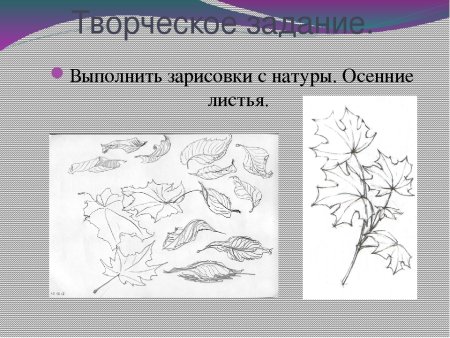Рисунок основа изобразительного творчества