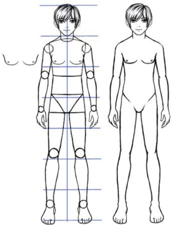 Пропорции подростка для рисования