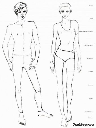 Мужская и женская фигура для рисования