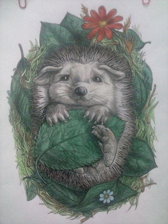 Тату Ёжик эскиз