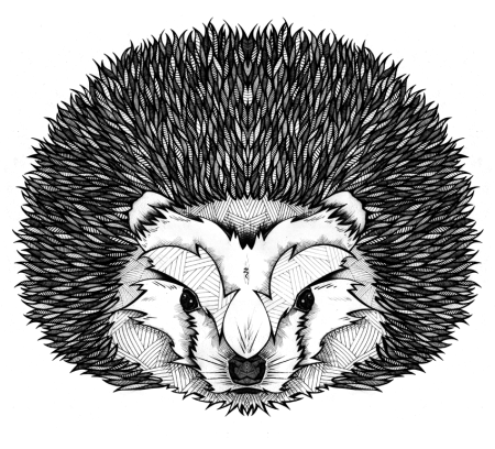 Ежик Графика