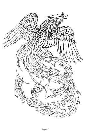 Птица Феникс рисунок