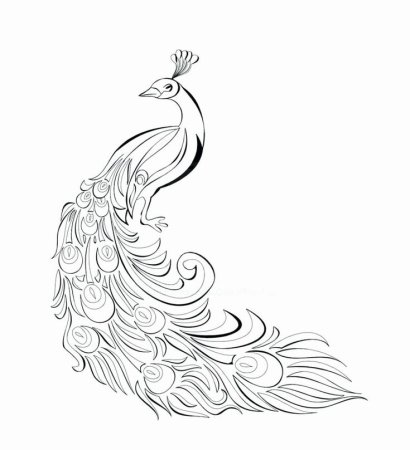 Жар птица рисунок карандашом