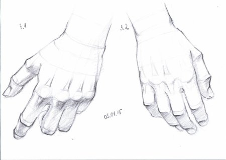 Кисти рук для рисования