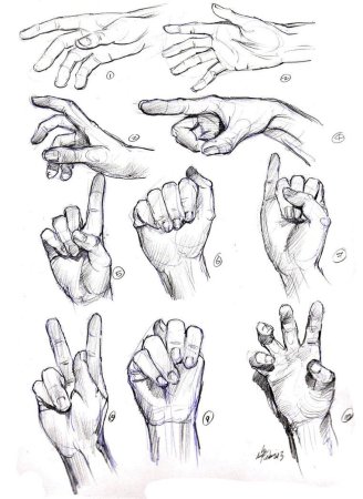 Кисти рук для рисования