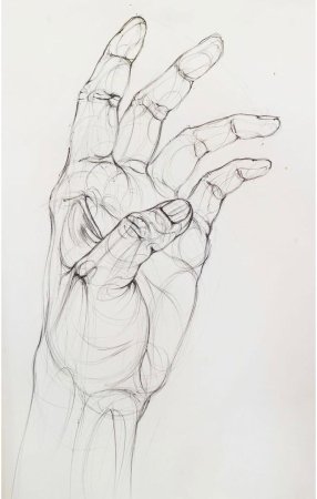 Зарисовки рук
