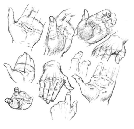 Зарисовки кистей рук
