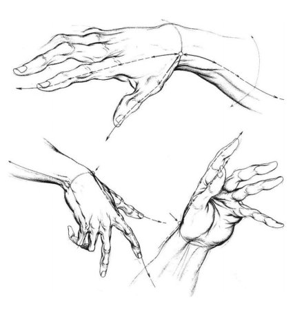 Скетчи рук