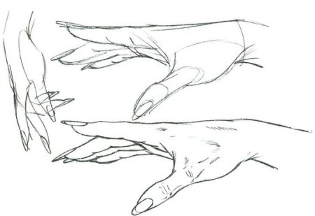 Руки карандашом