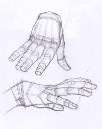 Конструктивное построение рук