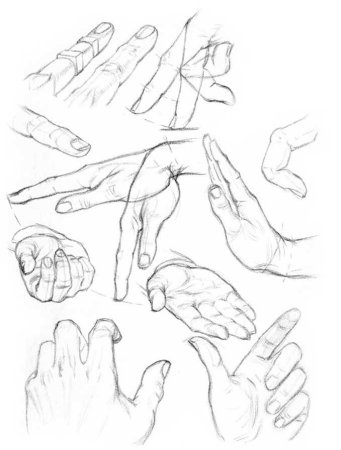 Кисти рук для рисования