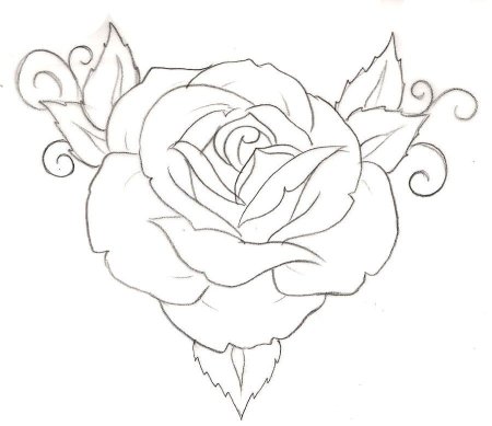 Роза для срисовки
