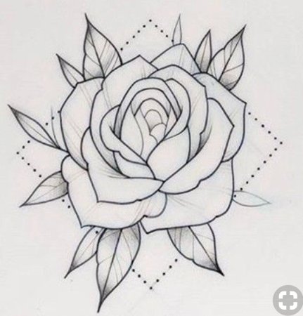 Контурная роза эскиз