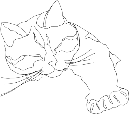 Контурные рисунки