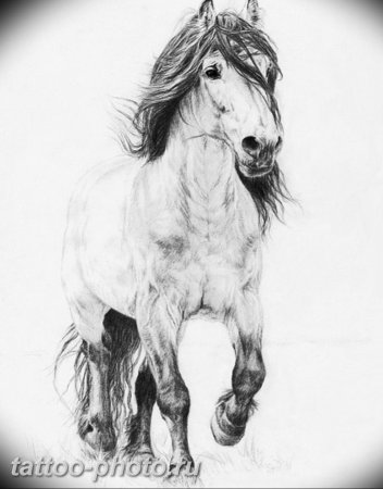 Лошадь рисунок карандашом