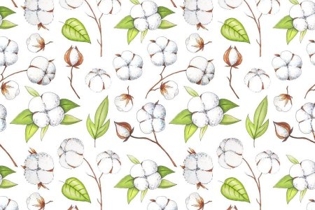 Хлопок иллюстрация