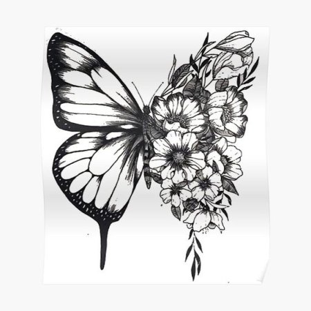 Шон Баттерфляй