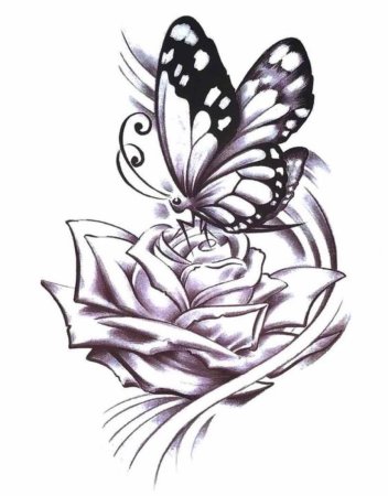 Бабочка тату эскиз