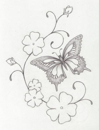 Рисунки для срисовки цветы