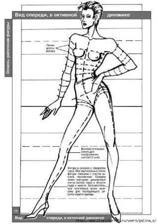 Пропорции тела человека для рисования