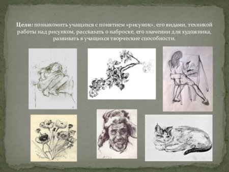 Наброски животных