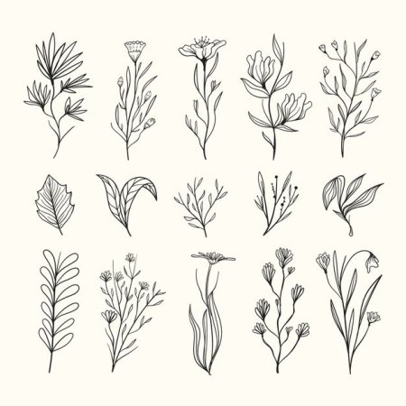 Наброски растений простые