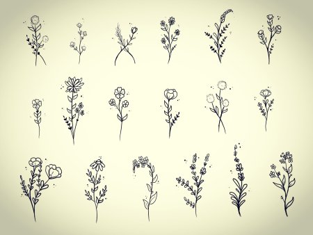 Маленькие тату растения