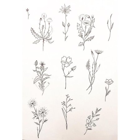 Полевые цветы набросок