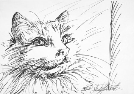 Рисунки осени для срисовки