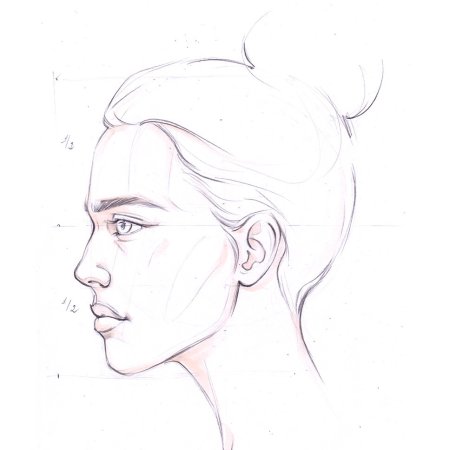 Скетчи животных