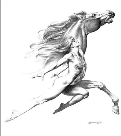 Конь Борис Валеджио