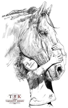 Девушка на лошади рисунок карандашом