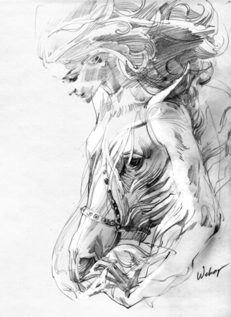 Художник Чжан Вебер карандаш