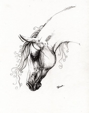 Тату лошадь для девушек эскизы