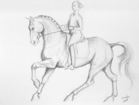 Человек сидит на лошади рисунок