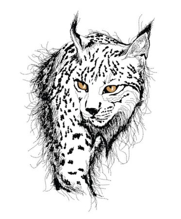 Тату голова рыси