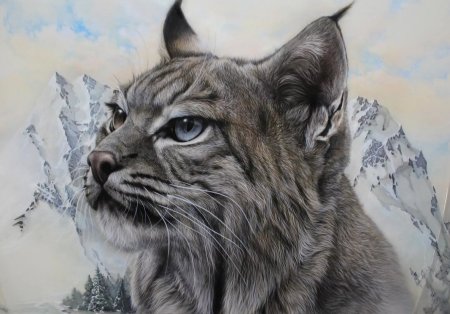 Рысь рисунок