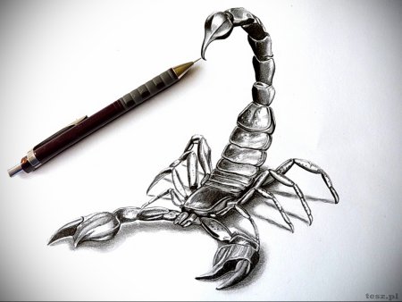 Скорпион тату эскиз 3д