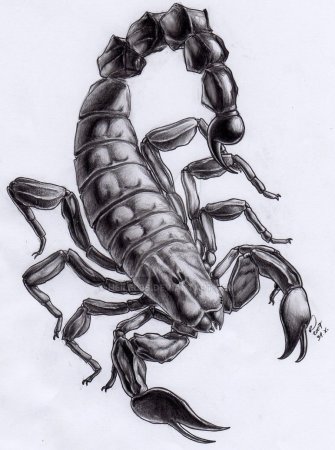 Скорпион тату эскиз