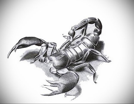 Скорпион тату эскиз
