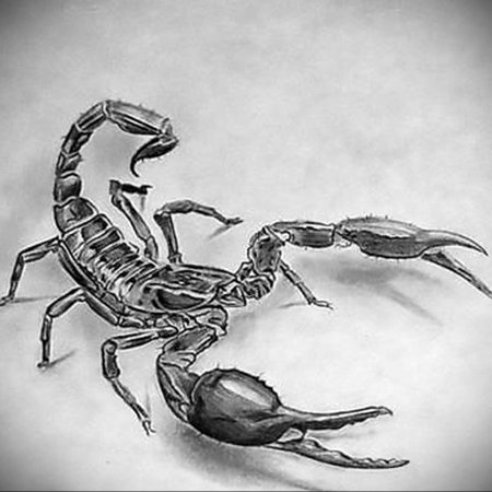 Тату Скорпион