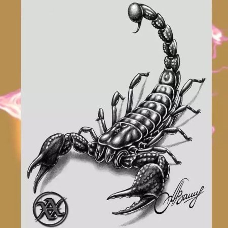 Скорпион эскиз