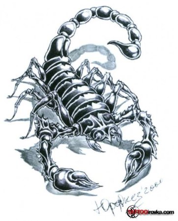 Скорпион эскиз