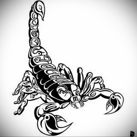 Скорпион тату эскиз